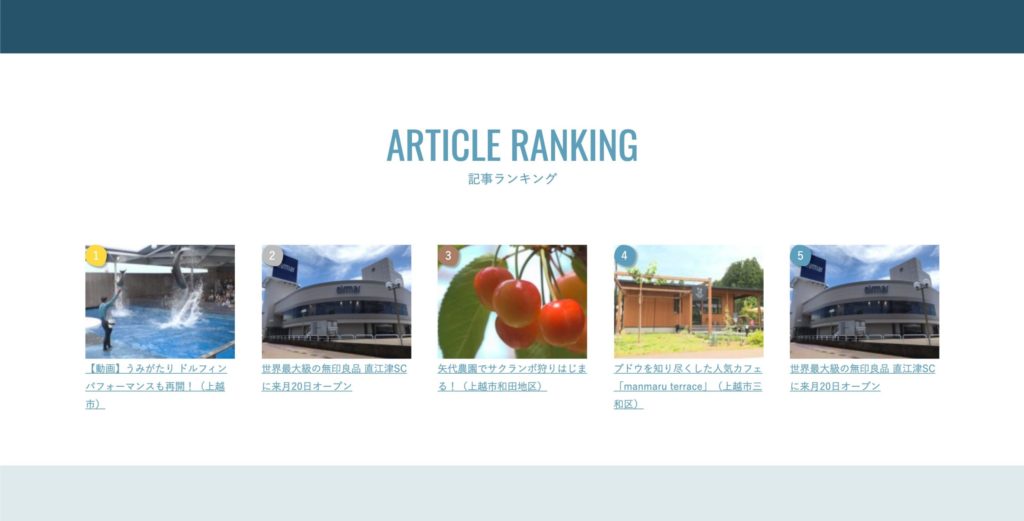 ARTICLE RANKING